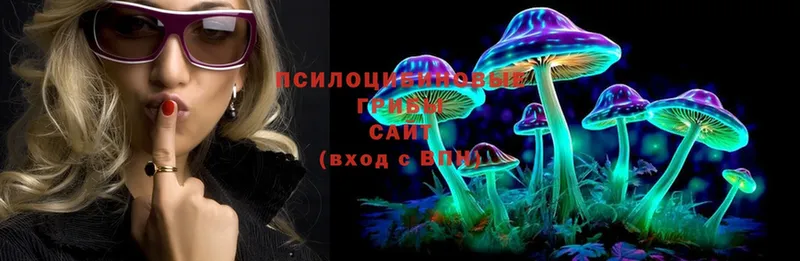 blacksprut маркетплейс  Грайворон  Галлюциногенные грибы Psilocybe 